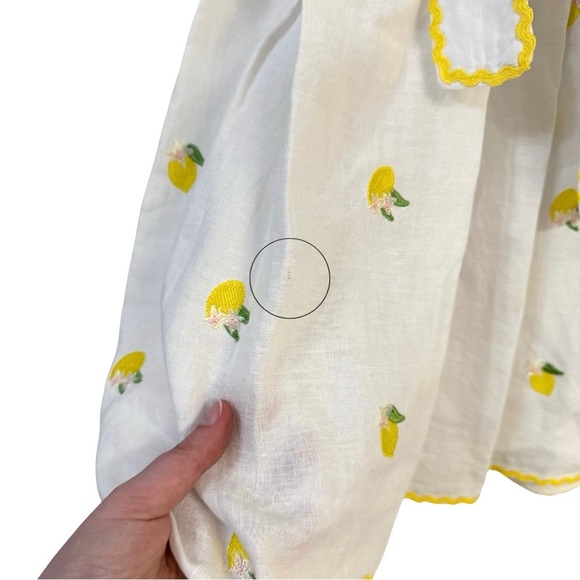 Sorci and Fofa Girls 6 Embroidered Lemon Flutter Sleeve Ric-Rac Linen Dress - Picture 9 of 16